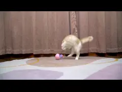 Stimulate Cat Interest Purple Interactive Movement Pet Toy with Gravity Feed Leaky Food