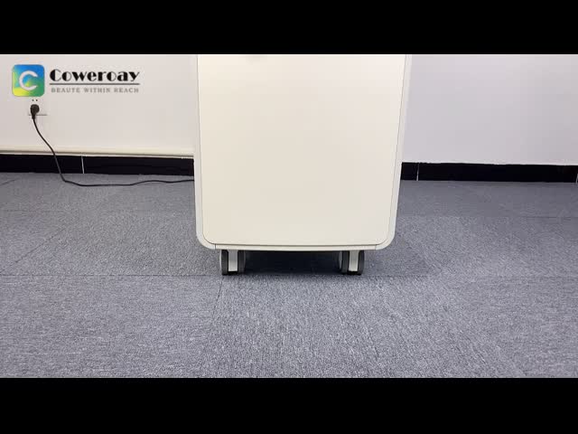 Длинный импульс ND Yag Пикосекундная лазерная машина для удаления татуировок для удаления черного цвета видео