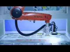 Cellule de robot industriel protégée IP65 pour des performances fluides et constantes