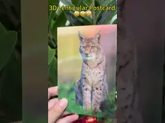 Van Gogh's Sunflowers 3D Lenticular Postcards For Museum Art Gallery