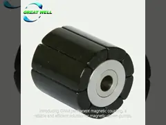 Permanent Magnetic Coupling for magnetic drivn pump