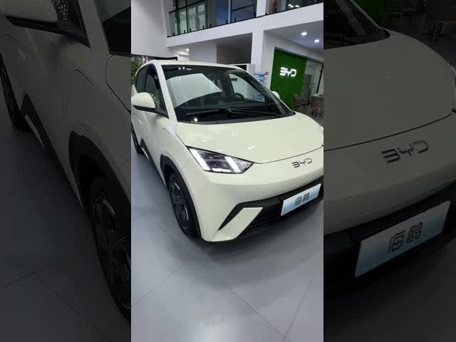 Small Build Your Dreams BYD Seagull 420KM EV Electric Vehicles Car