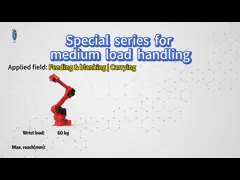 Car-Painting Loading Painter Sorting Robots Spray Paint Bin Picking Painting Robot