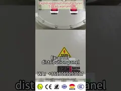 ATEX CNEX Certified Stainless Steel Explosion proof Control Panel with IP66 Protection