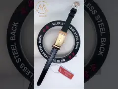 Fashionable Chic Leather Strap Quartz Watch Stainless Steel Stylish Quartz Wrist Watch