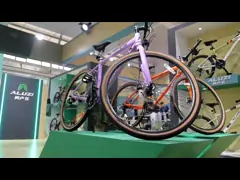 Professional Shimano Tourney Derailleur 21 Speed Mountain Bike For Mountain Adventure