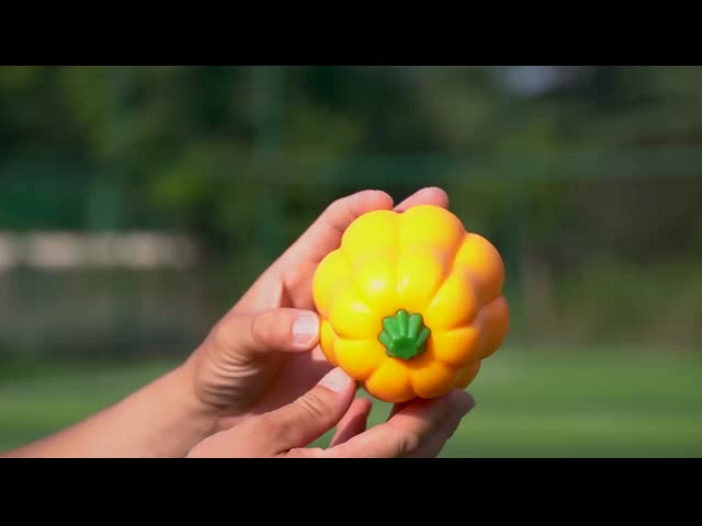 Large Pumpkin Dog Toy Ball Durable TPR Chewing Ball for Training and Teeth Cleaning