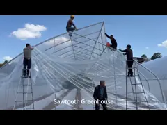 Installing Plastic Film In Sawtooth Greenhouses