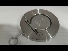 ASME API GB Standard Cast Steel Stainless Steel Single Disc Check Valve