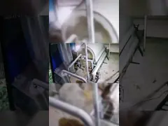 Highly Efficient Sweet Potato Starch Machine 400kg Stainless Steel Screen