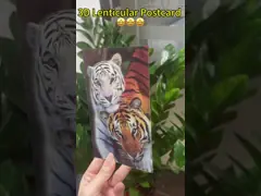 China Wholesale 30cm Lenticular Pp Straight Ruler Of Planet Lenticular Ruler Of Animals supplier
