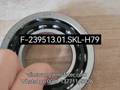 F-239513.01.SKL-H79 BMW differential side bearing double row angular contact ball bearing 41*78*17.5mm
