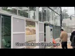 9.6m/10.8m/12m Width Aluminum Alloy Frame Agricultural Glass Venlo Multi-span Greenhouse With Triangle Roof Molding