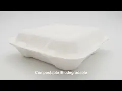 8 Inch *3 Grid Pulp Lunch Box Disposable Biodegradable Take Away Food Box