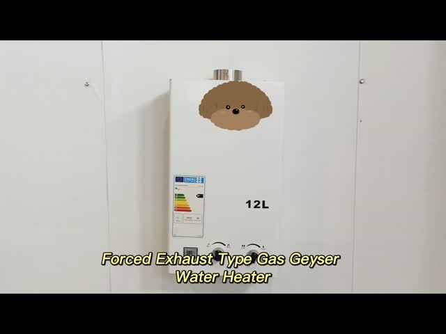 デジタル温度調節可能 強制排気ガス 給水器 高効率 12L - 24L