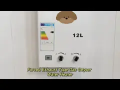 Digital Temperature Adjustable Forced Exhaust Gas Water Heater High Efficiency 12L - 24L
