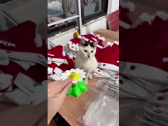 Automatic Electric Rotating Cat Toy Colorful Butterfly Bird Animal Shape Interactive Pet Dog Kitten Interactive Training Cat Toy