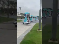 170 кг. Капацитет Сценический парк ландшафтный электрический 4-колесный мотоцикл video