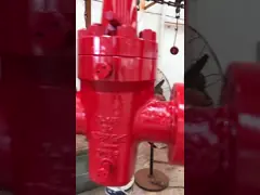 API 6A Wellhead Assembly , Expanding Gate Valve 2000-15000psi