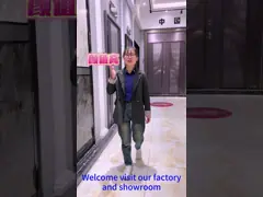 Luxury Front Stainless Steel Garden Gate Oxidation Resistance Aluminum Swing Door