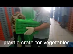 Fruit Storage Collapsible Plastic Basket For Agriculture Mushroom Vegetables 570mm