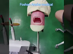 Facultad de odontología Cabeza fantasma para estudiantes de odontología Modelo de estudio Unidad de cabeza fantasma dental