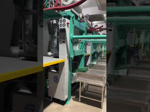Automatic Styrofoam Foam Box Moulding Making EPS Shape Moulding Machine