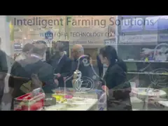 Easy Install ICAR Certified Sheep Ear Tags Livestock Ear Tags Goat Piglet Ear Tags