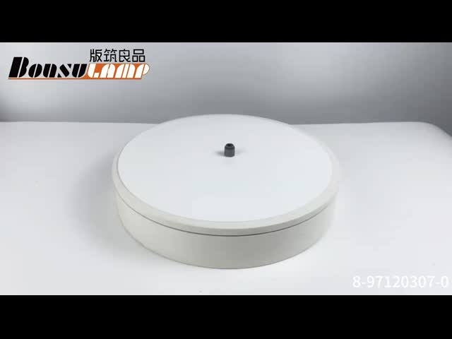 Valve Guide Seal Isuzu Parts For NHR NKR OEM 8-97120307-0   8971203070