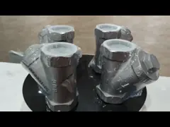 800PSI Stainless steel 304 316 CF8 CF8M BSP NPT Female Threaded Y Type Strainer