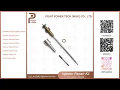 修理キット ボッシュ 共通レール 注入器 0445110647 0445110369 DLLA162P2160 ノズル