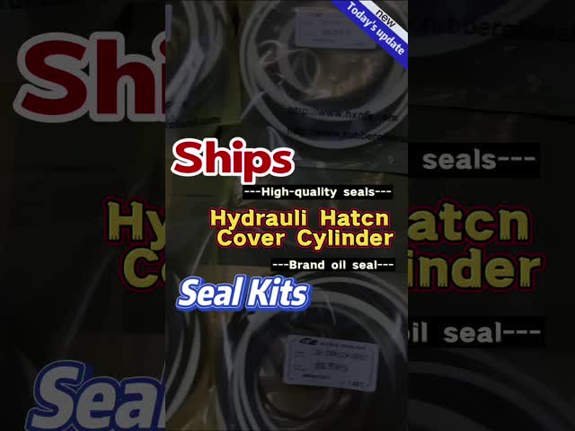 Marine Oil Seals 42049729 42049731 42049730 Ship Hydraulic Steel Hatch Cover Cylinder Repair Seal Kits