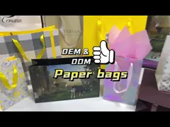 Impressão a cores em papel verde Saco de envio com alça Saco de embalagem de presente