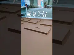 Positive And Negative Vacuum Membrane Press Machine  Automatic