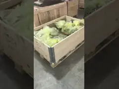 A10VSO45DFR1/31R-VPA12N00			A10VSO71DRS/32R-PPB22U99 GermanRexrothhigh-pressureplungerpumpinstock