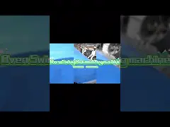 Otomatik Rock And Roll Rotomoulding Makineleri Hızlı Hız