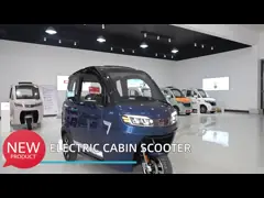 EEC Cabin Passenger Enclosed Electric Tricycles 800W 3 wheel electric scooter