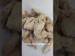 Natural Dried Dehydrated Ginger Root With HALAL HACCP