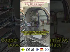 Customizable Rated Voltage Explosion-Proof distribution box Flameproof control cabinet ATEX rated for Hazardous area Zone1&2 21&22