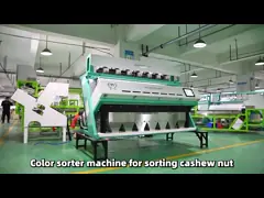 Wenyao Brand CCD&RGB Cashew Nut Colour Intellient Sorting Machine in China