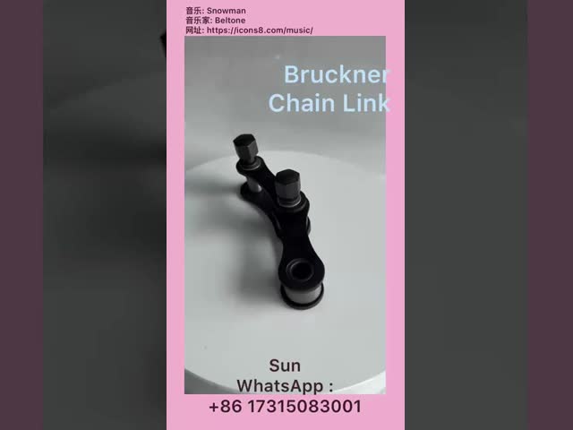 Régua de aço inoxidável Régua de elo de corrente Peça de máquina Bruckner