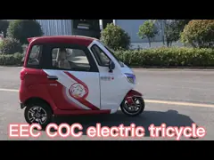 3 Seat Passenger Carrying Tricycle