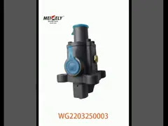 Assetto originale di valvole a doppia H per HOWO OE numero WG2203250003