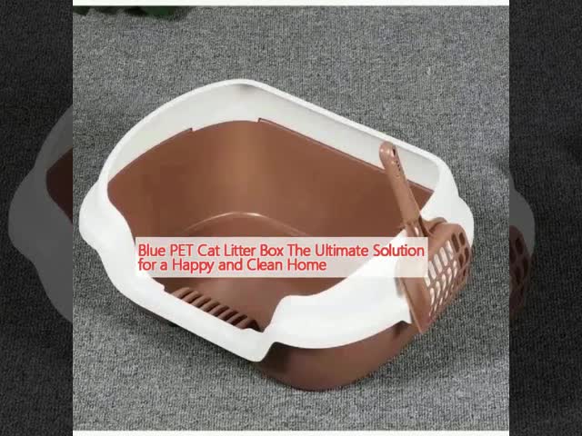 Multicolor PET Open Cat Litter Tray Large Opening Litter Tray