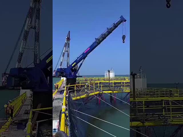 XDEM 大容量 水力 望遠鏡 腕 ドック クレーン 船舶 クレーン メーカー 造船所での重力上げ