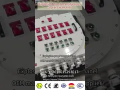 ATEX Safety Ex-proof control station Flameproof Electrical Control Boxes 220/380Vac G1/2