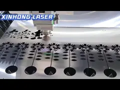 3015/4015/4020/6020/6015/6025 Lasersnijmachine voor het snijden van metaal van karton van roestvrij staal
