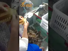 220/50HZ Voltage Shoe Sole Edge Trimming Machine for Shoe Production Efficiency