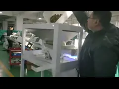 Wenyao Belt Type Olive Color Sorter Machine Can be Used on Salted Olives