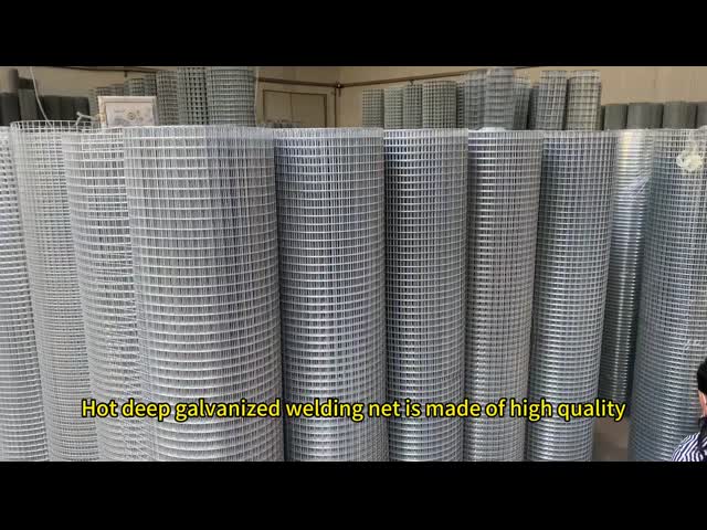 Hot Dipped Galvanized Welded Wire Mesh With 0.5mm 1.2mm